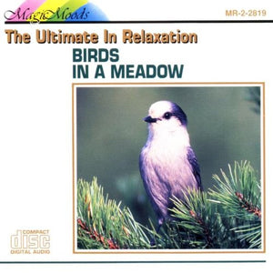 Various Artists - Birds in a Meadow